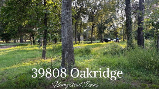 Hempstead null-story, null-bed 39808 Oakridge Road-idx