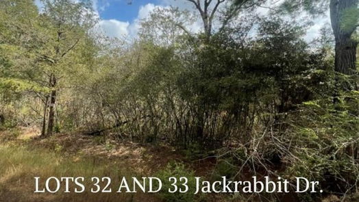 Hempstead null-story, null-bed 000 Lot 32 and 33 Jackrabbit Dr-idx