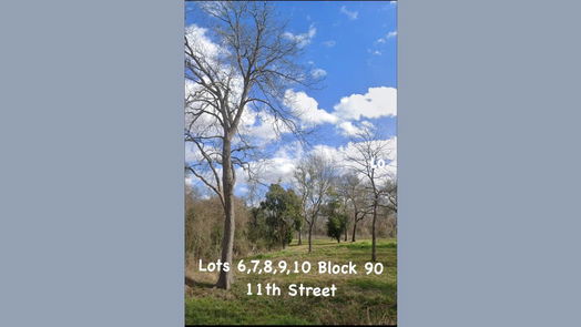 Hempstead null-story, null-bed Lots 6,7,8,9,10 Block 90 Located on 11th Street-idx