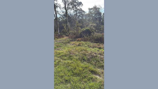 Hempstead null-story, null-bed Lot 2 Block 52-idx