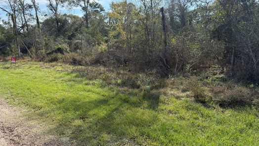 Hempstead null-story, null-bed Lot 2 Block 52-idx