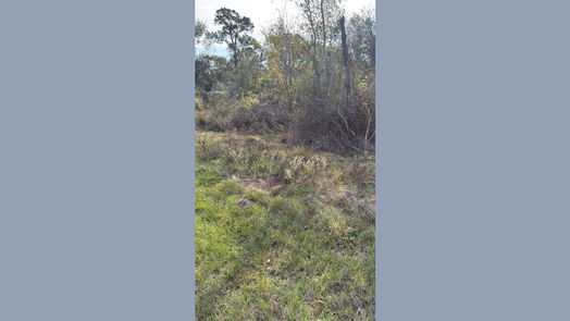 Hempstead null-story, null-bed Lot 2 Block 53-idx