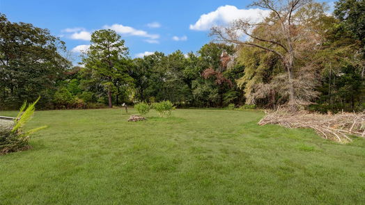Hockley 1-story, 3-bed 24006 Crooked Creek-idx