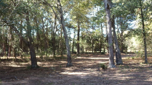 Hockley null-story, null-bed 31409 Joseph Road-idx