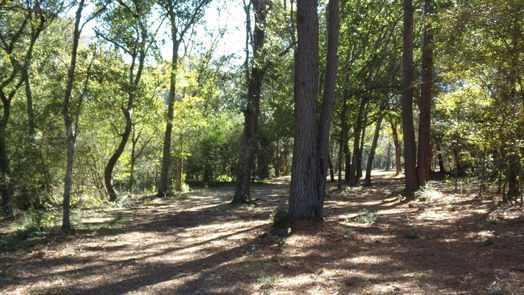 Hockley null-story, null-bed 31409 Joseph Road-idx