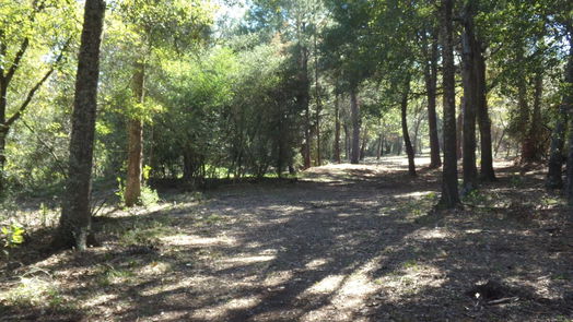 Hockley null-story, null-bed 31409 Joseph Road-idx