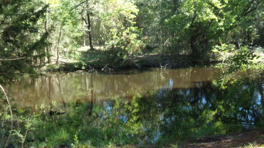 Hockley null-story, null-bed 31409 Joseph Road-idx