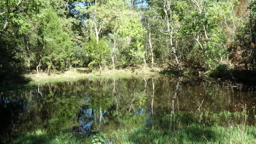 Hockley null-story, null-bed 31409 Joseph Road-idx