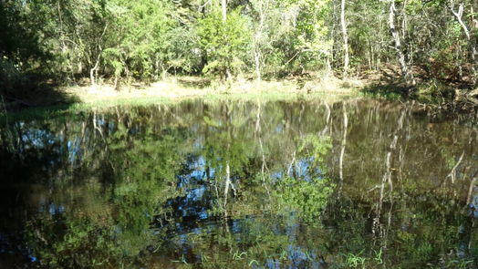 Hockley null-story, null-bed 31409 Joseph Road-idx