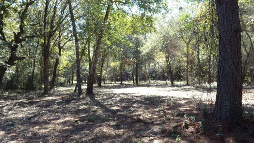 Hockley null-story, null-bed 31409 Joseph Road-idx