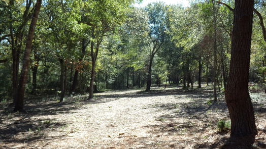 Hockley null-story, null-bed 31409 Joseph Road-idx