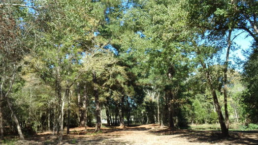 Hockley null-story, null-bed 31409 Joseph Road-idx