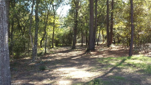 Hockley null-story, null-bed 31409 Joseph Road-idx