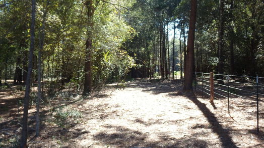 Hockley null-story, null-bed 31409 Joseph Road-idx