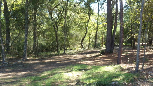 Hockley null-story, null-bed 31409 Joseph Road-idx