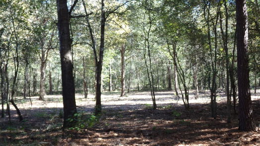 Hockley null-story, null-bed 31409 Joseph Road-idx