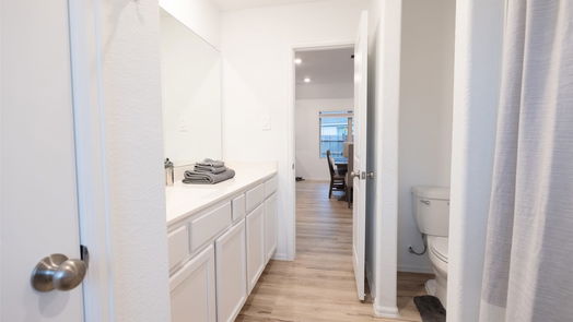 Hockley 1-story, 3-bed 18478 Cobalt Cove Lane-idx