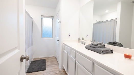 Hockley 1-story, 3-bed 18478 Cobalt Cove Lane-idx