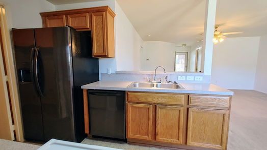 Hockley 1-story, 3-bed 17314 Box Canyon Drive-idx