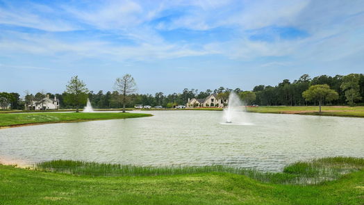 Hockley null-story, null-bed 2415 Emerie Arbor Lane-idx