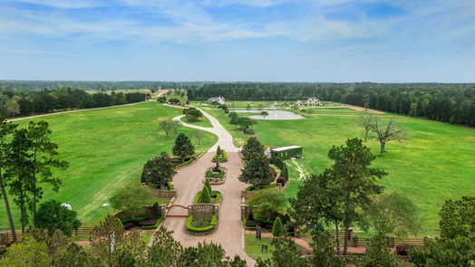 Hockley null-story, null-bed 2415 Emerie Arbor Lane-idx