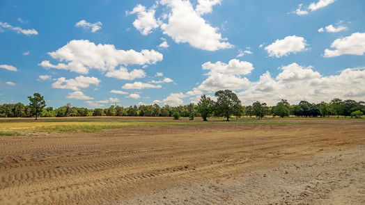 Hockley null-story, null-bed 2415 Emerie Arbor Lane-idx