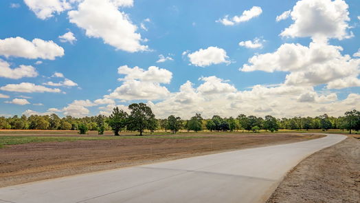 Hockley null-story, null-bed 2415 Emerie Arbor Lane-idx