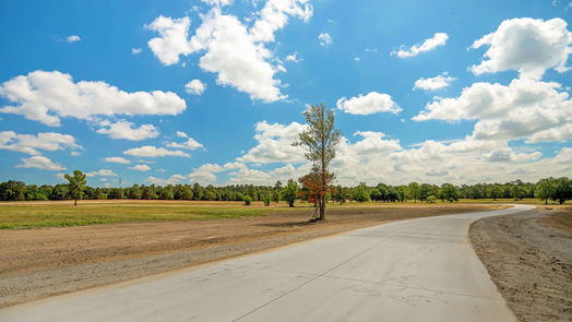 Hockley null-story, null-bed 2415 Emerie Arbor Lane-idx