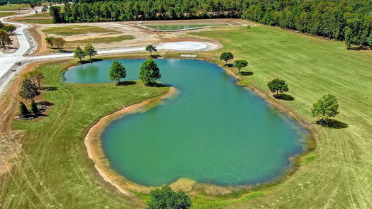 Hockley null-story, null-bed 2415 Emerie Arbor Lane-idx