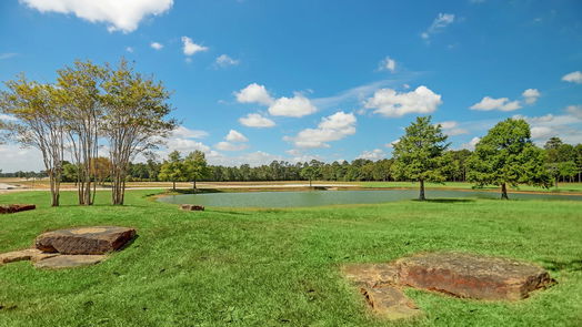 Hockley null-story, null-bed 2415 Emerie Arbor Lane-idx