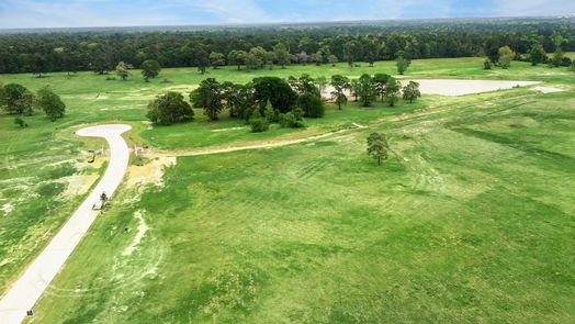 Hockley null-story, null-bed 2415 Emerie Arbor Lane-idx