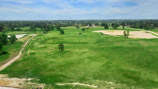 Hockley null-story, null-bed 2415 Emerie Arbor Lane-idx