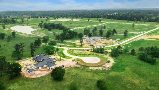 Hockley null-story, null-bed 2415 Emerie Arbor Lane-idx