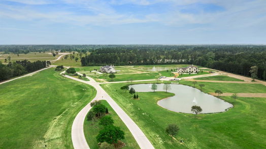 Hockley null-story, null-bed 2415 Emerie Arbor Lane-idx