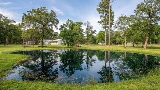 Hockley 1-story, 3-bed 24280 Fox Hollow Drive-idx