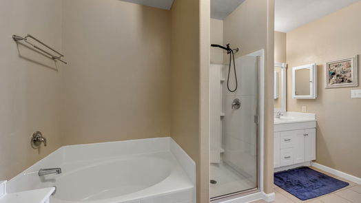 Hockley 2-story, 5-bed 17130 Osprey Landing Drive-idx