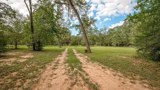 Hockley 1-story, 3-bed 25551 Brushy Creek-idx