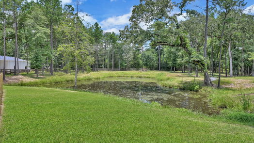 Hockley 2-story, 3-bed 24120 Pinewood Valley Drive-idx