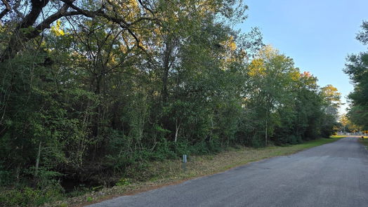 Hockley null-story, null-bed Lot 4 Tepee Trail-idx