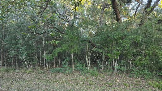 Hockley null-story, null-bed Lot 4 Tepee Trail-idx