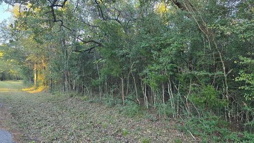 Hockley null-story, null-bed Lot 4 Tepee Trail-idx