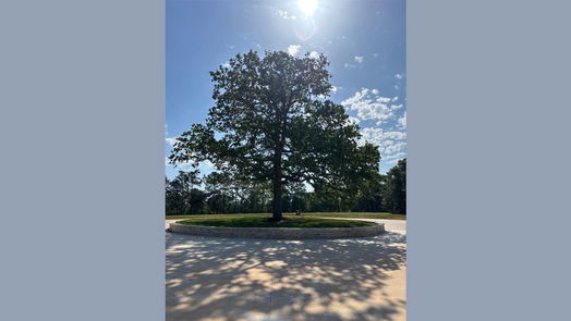 Hockley null-story, null-bed 200 Rolling Oaks Drive-idx