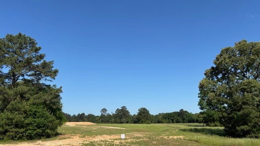 Hockley null-story, null-bed 200 Rolling Oaks Drive-idx