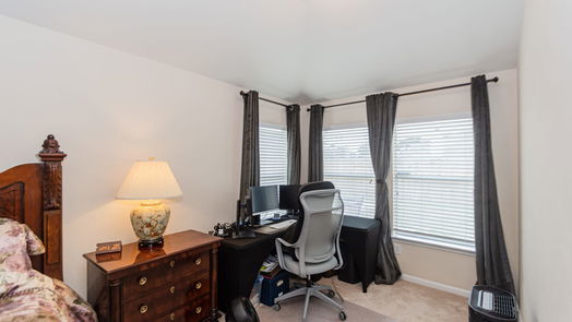 Katy 1-story, 3-bed 2003 Pinecreek Pass Lane-idx
