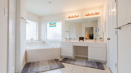 Katy 1-story, 3-bed 2003 Pinecreek Pass Lane-idx