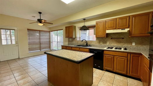 Katy 2-story, 3-bed 19114 Lookout Mountain Lane-idx