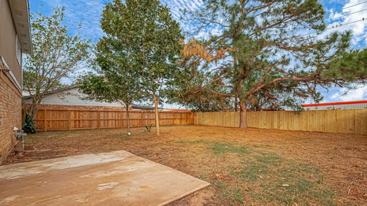 Katy 2-story, 3-bed 21130 Northern Colony Court-idx