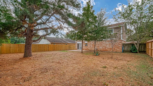 Katy 2-story, 3-bed 21130 Northern Colony Court-idx