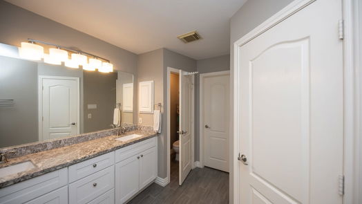 Katy 2-story, 4-bed 20015 Penrice Drive-idx