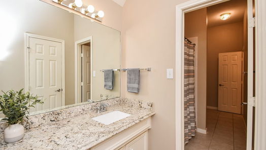 Katy 2-story, 4-bed 21823 Hollow Field Lane-idx